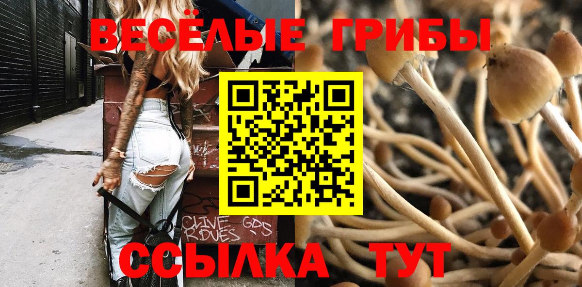 Галлюциногенные грибы прущие грибы  Вход с VPN  Галлюциногенные грибы мухоморы  Обь 