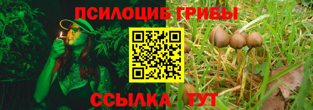 Галлюциногенные грибы MAGIC MUSHROOMS Обь